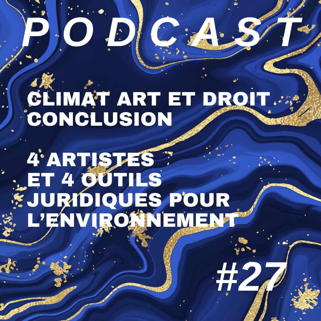Climat, art et droit – Conclusion : 4 artistes et 4 outils juridiques pour l’environnement