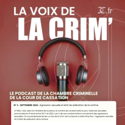 Agression sexuelle et état de sidération de la victime episode artwork