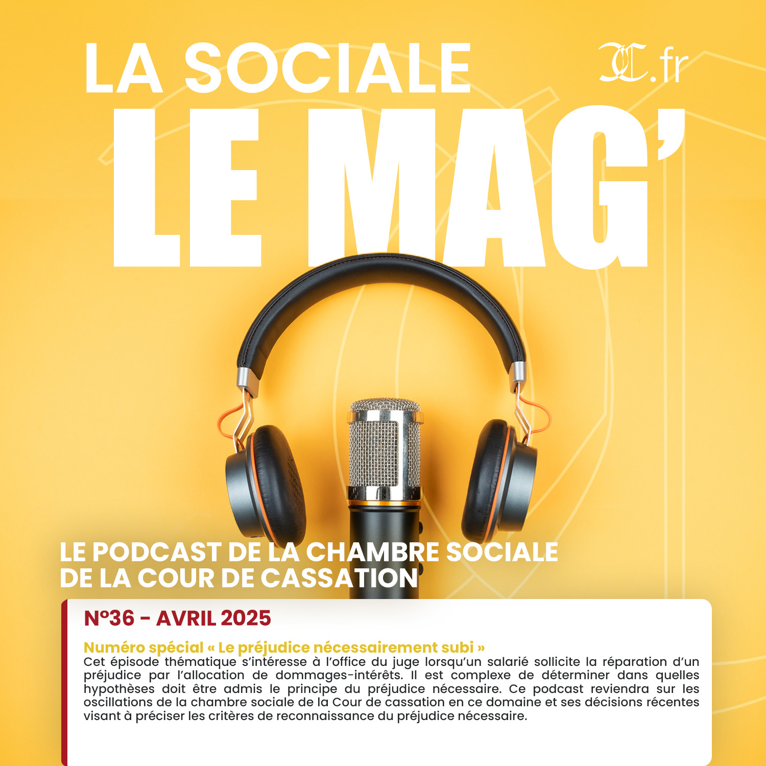 La Sociale le Mag’ | N°36 – avril 2025: Numéro spécial « Le préjudice nécessairement subi »
